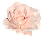 pic (150x132, 26Kb)
